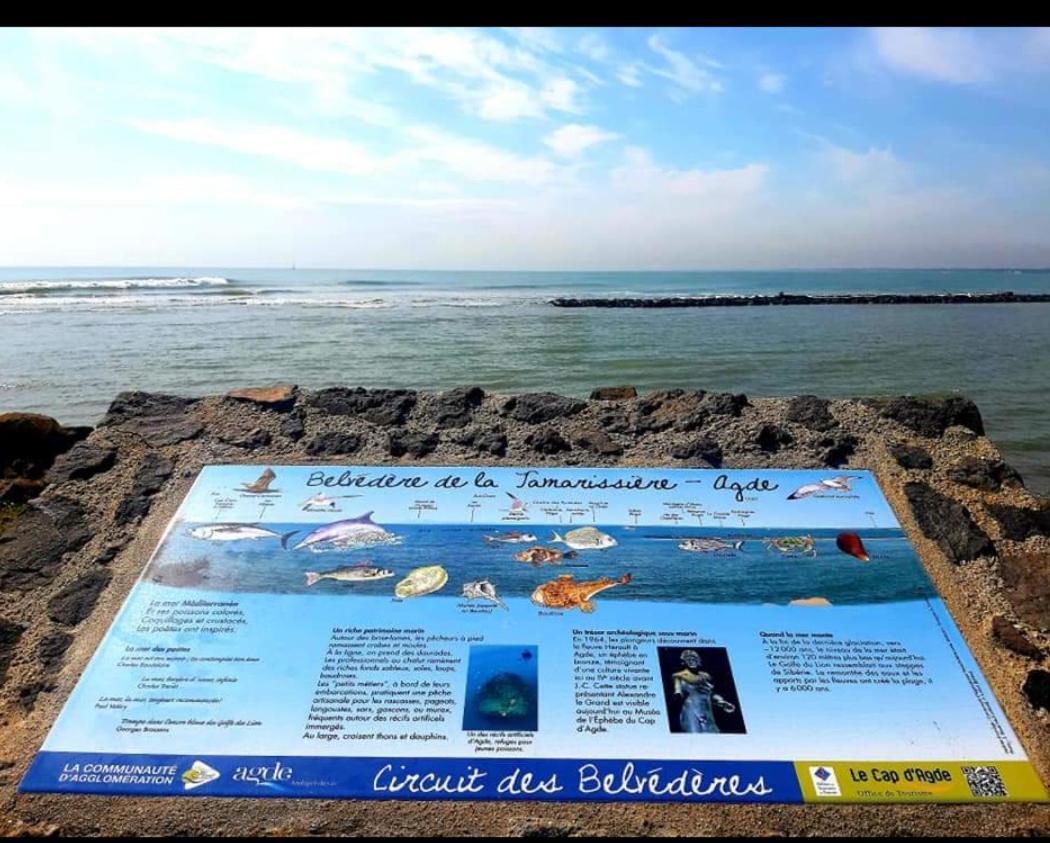 Vacance Au Grau D'Agde Le Grau-dʼAgde Buitenkant foto